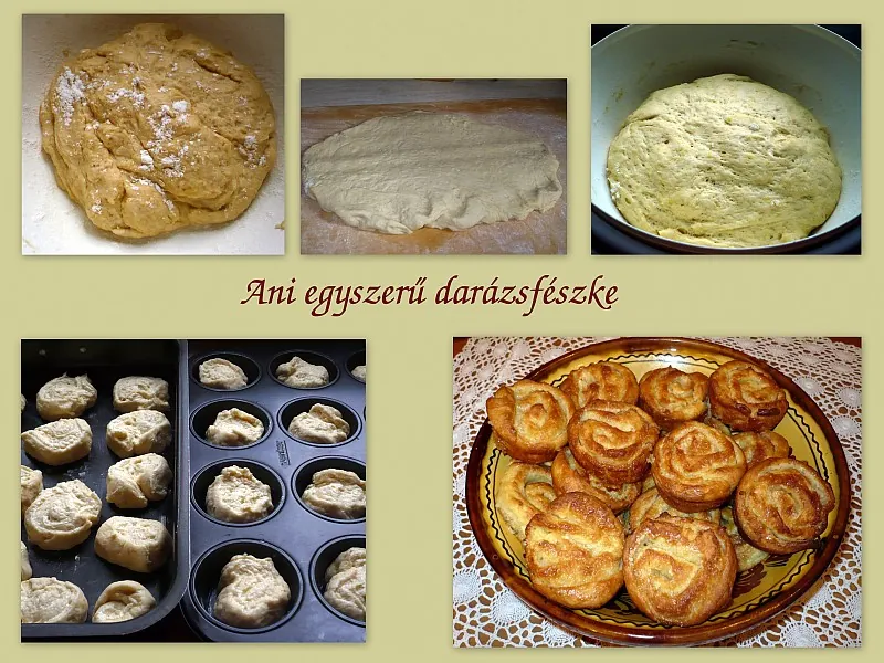 Ani egyszerű darázsfészke