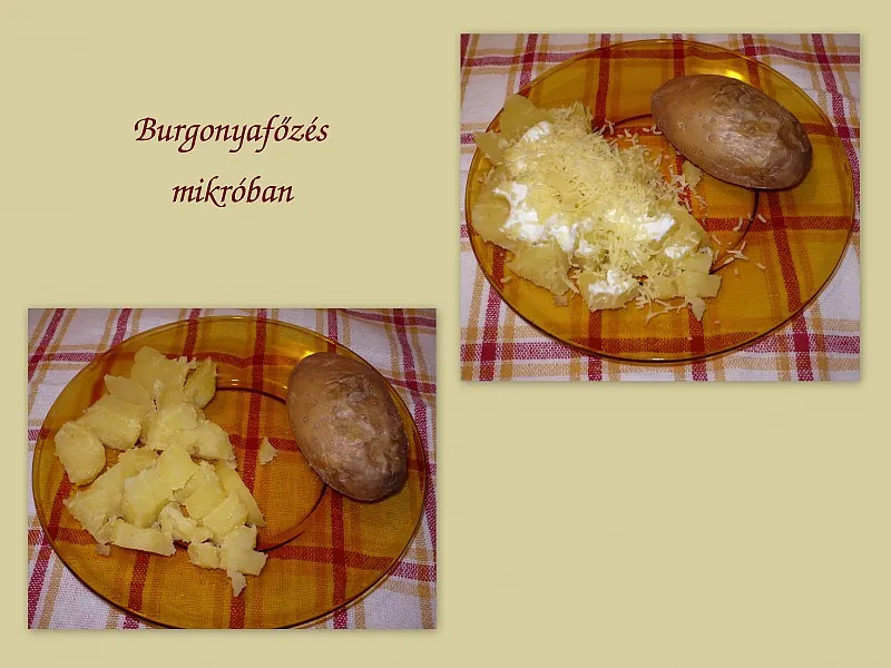 Burgonya mikróban
