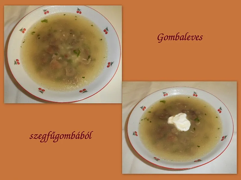 Gombaleves szegfűgombából