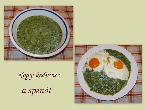 Spenót