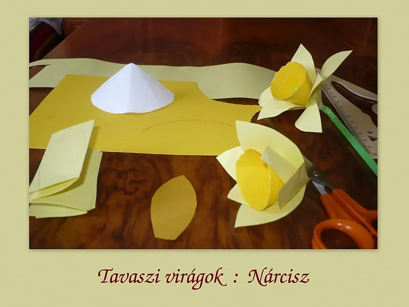 Tavaszi virágok: nárcisz